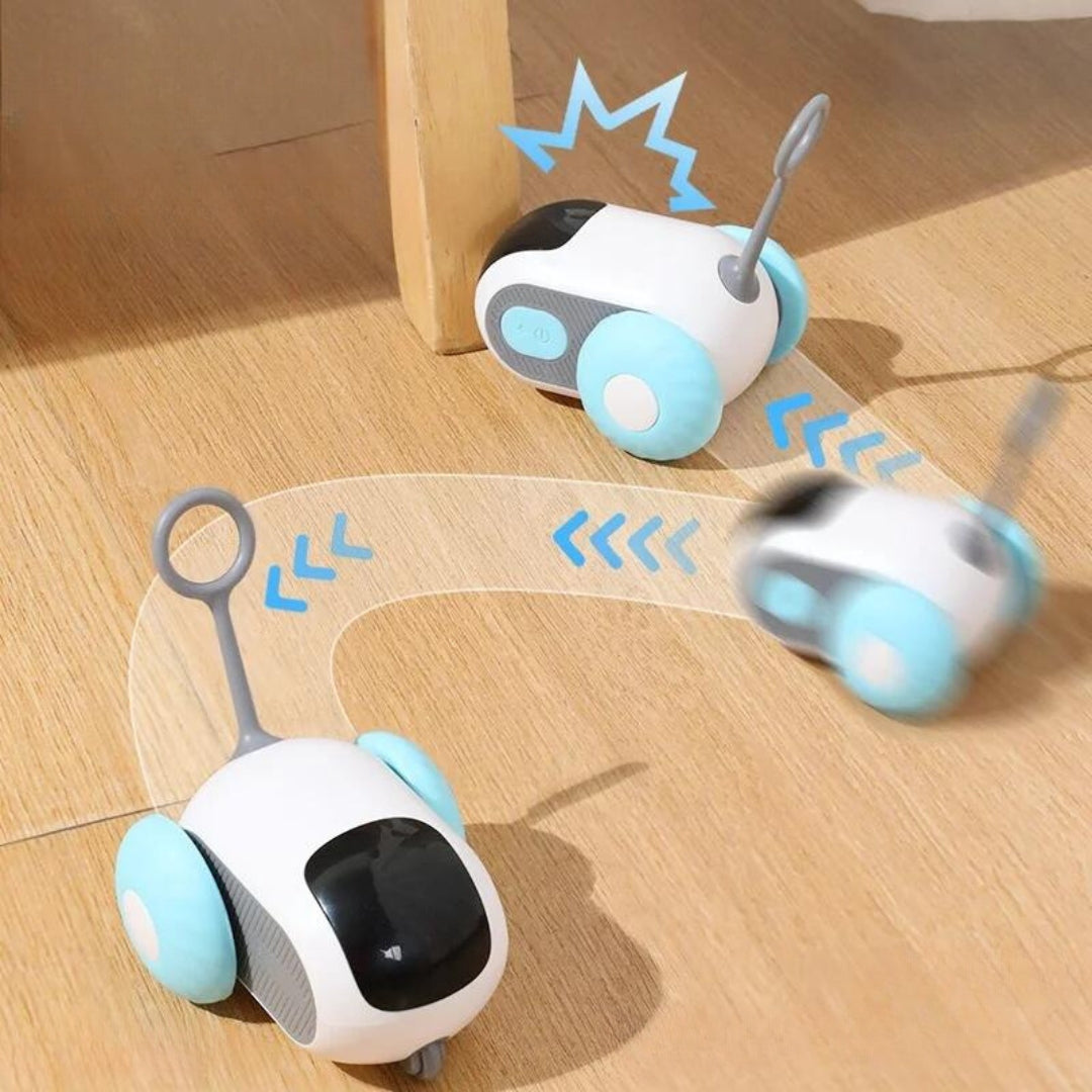 Macchinina Telecomandata per Gatti